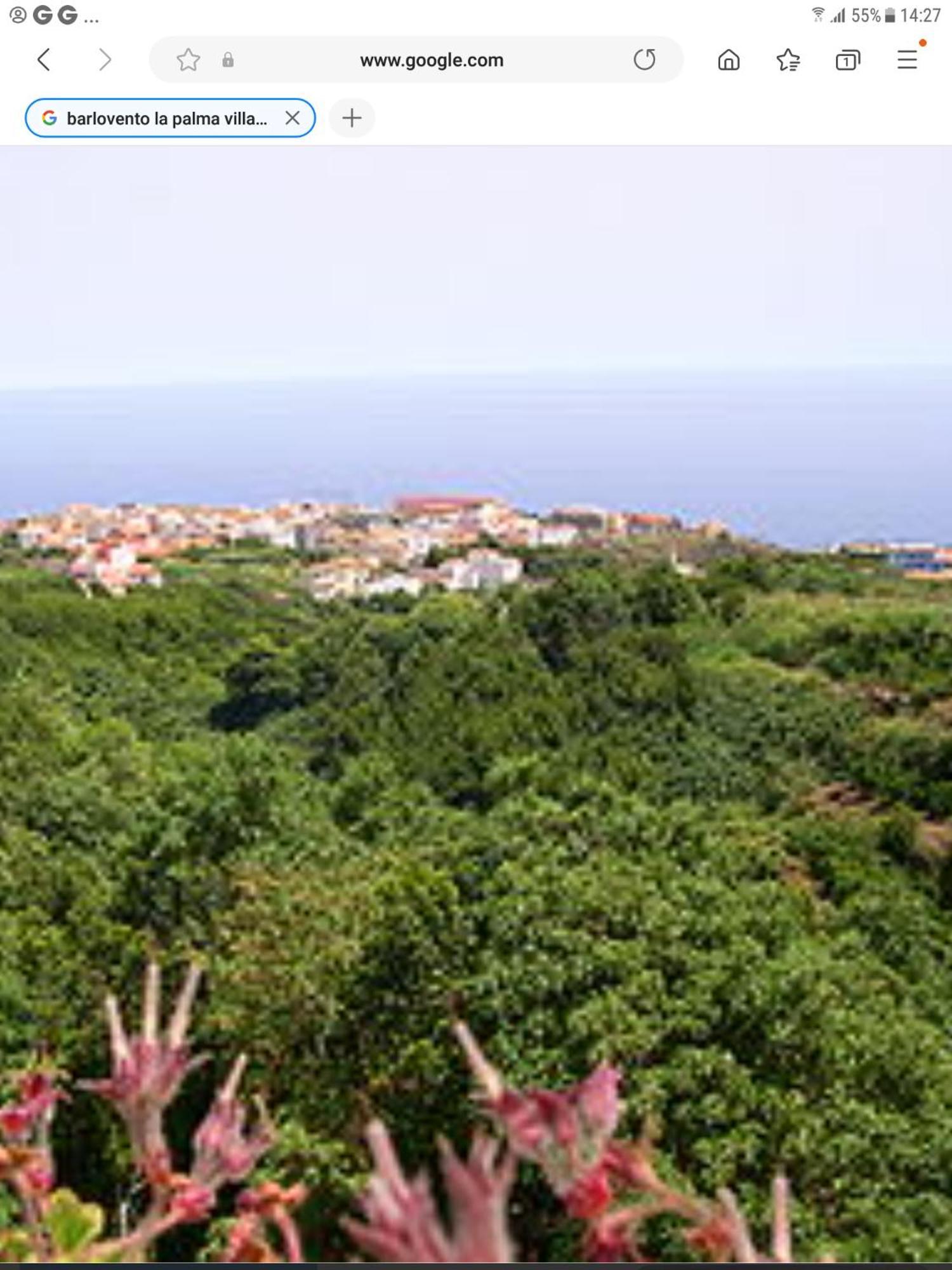 Terraza Del Atlantico 1 + 2 Apartman Barlovento Kültér fotó